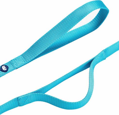 Blueberry Pet Essentials Double Handle Dog Leash for Traffic Control, 4ft. x 1" Large Dog Leash, Classic Nylon Leash
