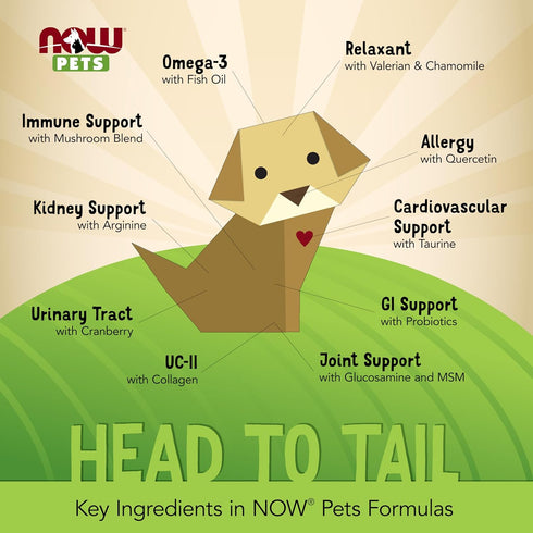 NOW Foods Pet Health Immune Support Supplement - 90 Chewable Tablets for Cats & Dogs