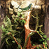 kathson 3 PCS Reptile Vines Plants - Flexible Bendable Jungle Climbing Vine Decor for Terrarium