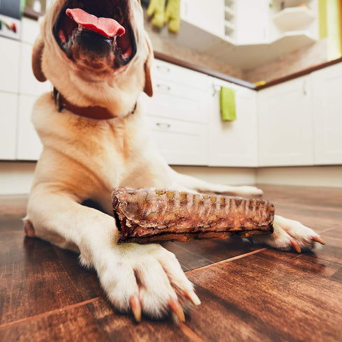 (7" 16 OZ) Dog Chews Beef Trachea Dog Treat Chew Made in USA. Grass Fed Farm-Raised American Beef. Glucosamine Rich
