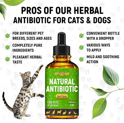 Natural Antibiotic for Cats and Dogs | 2 Oz Beef Dietary Supplement | Cat and Dog Antibiotics