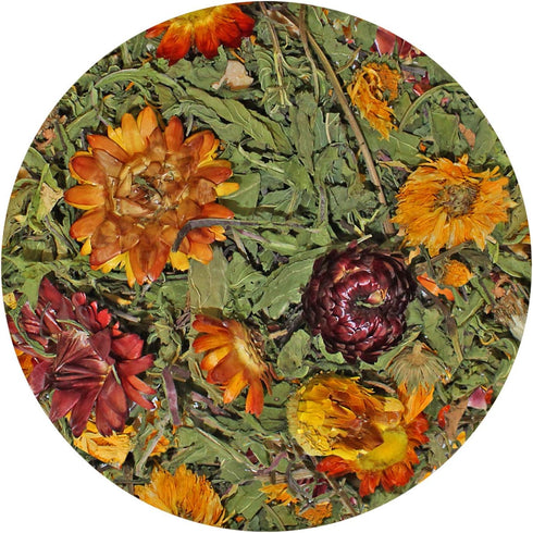 Pasture Plus+ Dandelion Delicacy - Healthy High-Fiber Dried Flower Treat for Small Pets