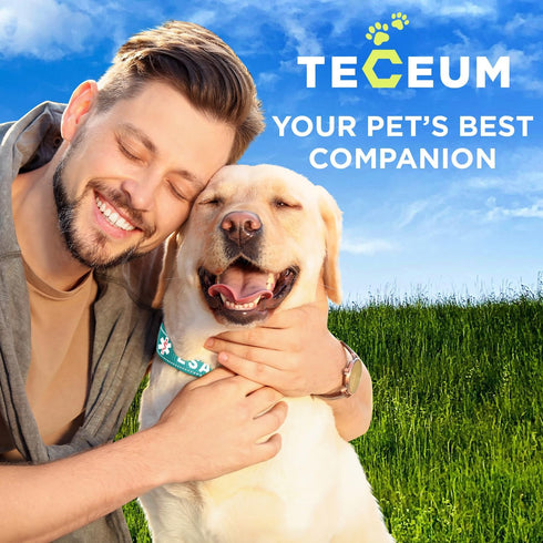 TECEUM Reflective Teal Pet Collar, M, Extra Soft Padding, Basic Nylon Dog Collar with Quick Release Buckle