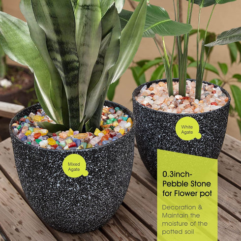 Decorative Polished Rocks, 0.3" Gravel for Plant Pots, Succulents, and Aquarium Fish Tank Decorations (1.5 LB)