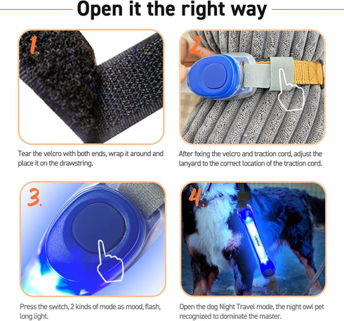 LaRoo Light Up Dog Collar with Nylon Stickers, Universal Glowing Accessories for Leash Harness, Silicone Waterproof LED