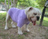 Lovelonglong Bulldog Clothes Dog T-Shirt for French Bulldog, English Bulldog, American Pit Bull (Violet B-M)