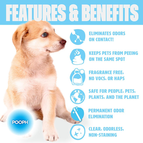 POOPH Pet Wipes for Puppy & Dog Grooming, 100 Count Pack - On-the-Go Odor Control for Paws, Butt, Ear, Face, and Fur