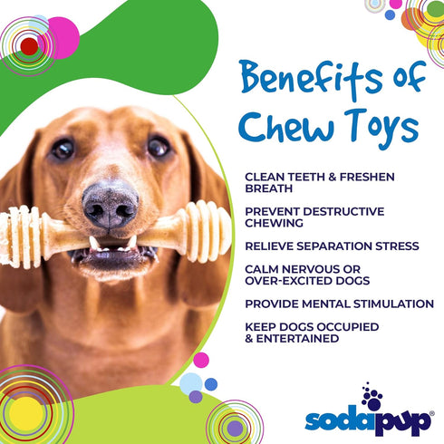SodaPup Honey Bone – Durable Dog Chew Toy Made in USA, Non-Toxic Nylon Material for Mental Stimulation and Clean Teeth