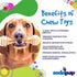 SodaPup Honey Bone – Durable Dog Chew Toy Made in USA, Non-Toxic Nylon Material for Mental Stimulation and Clean Teeth