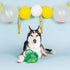 Fringe Studio Plush Dog Toy, Durable Shell of A TIME, 3 Piece Set for Small Dogs (729109), Multicolored