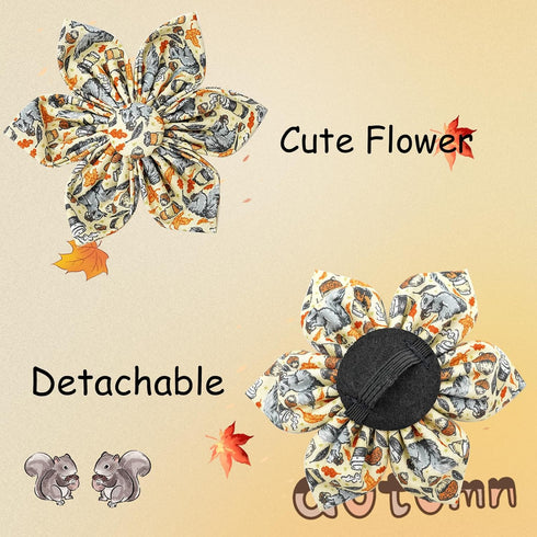 Elegant Little Tail Fall Dog Collar with Flower, Halloween Plaid Pet Collar for X-Small Dogs, Holiday