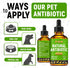 2-oz Herbal Pet Antibiotics for Rabbits, Reptiles, Turtles, Guinea Pigs, Fish Chicken Antibiotics in Liquid for All