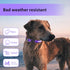 PcEoTllar Light Up Dog Collar for Night Walking - LED Rechargeable Color Changing, Glow in The Dark Waterproof Collars