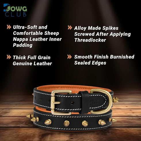 Genuine Leather Spike Dog Collar, 1" Wide, Full Grain Heavy Duty, Comfortable Inner Padded for Small Breeds (S, Fit