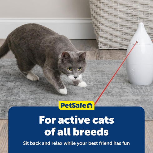 2 PetSafe Zoom Rotating Laser Cat Toy Includes Interactive Laser Lights