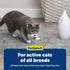 2 PetSafe Zoom Rotating Laser Cat Toy Includes Interactive Laser Lights