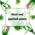 Fish Tank Accessories, 9pcs Green Decorations Plants and Cave Rock Decor Set for Aquarium, Plastic Plants for Fish Tank