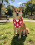 100 Pack Seamless PET SHOW Dog Bandanas Bulk for Small Medium Dogs Girl Boy Puppies Washable Paw Print Pet Scarf