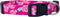 Native Pup Flower Dog Collar, Adjustable Small, Cute Pink Floral Blue Daisy Rose, Summer Spring Essentials