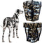 FINNERO Brenda Reusable Dog Diaper, Leak-Proof, Adjustable, Heat & Incontinence Protection, XL