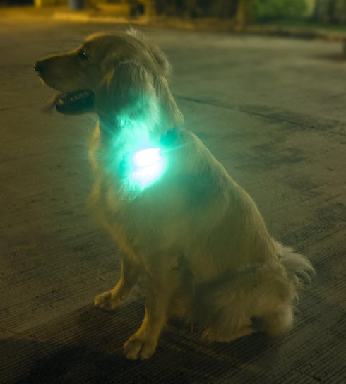 LED Safety Light (2 Pack) + Free Bonuses | Clip On Strobe/Running Lights for Runners, Dogs, and Biking