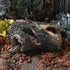 Aquarium Wood Fish Tank Decorations, Resin Fake Logs Terrarium Decor, Reptile Hide for Fish Cave