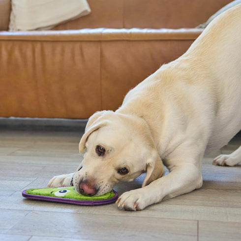 Outward Hound Tough Skinz Durable Squeaky Dog Toy, Medium Avocado Green with Two Tough Layers