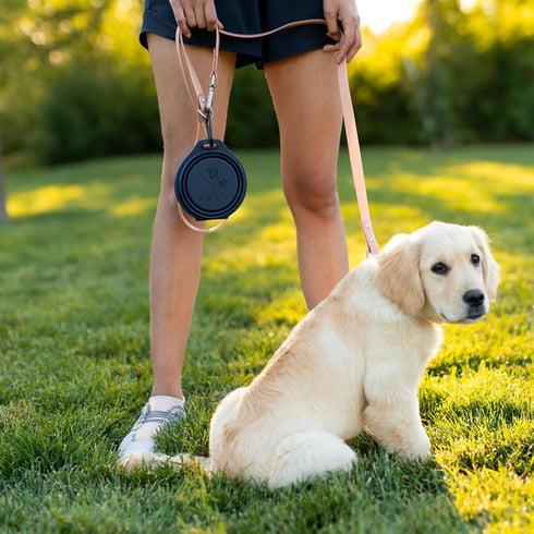Pup Culture Dual Collapsible Dog Bowls | Portable Silicone Travel Water Bowl for Dogs | Food Grade, No Plastic Rim,