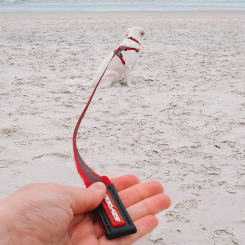 EzyDog Track and Train Premium Dog Leash, 16-Foot Extra Long Lead for Training Your Pup - Red