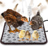 Heating Pad for Chicken Coop Rabbit Heater 110v Power 20w Electric Heated