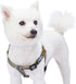 Blueberry Pet 5 Colors Step-in 3M Reflective Multi-Colored Stripe Padded Dog Harness, Small, Olive & Blue-Gray