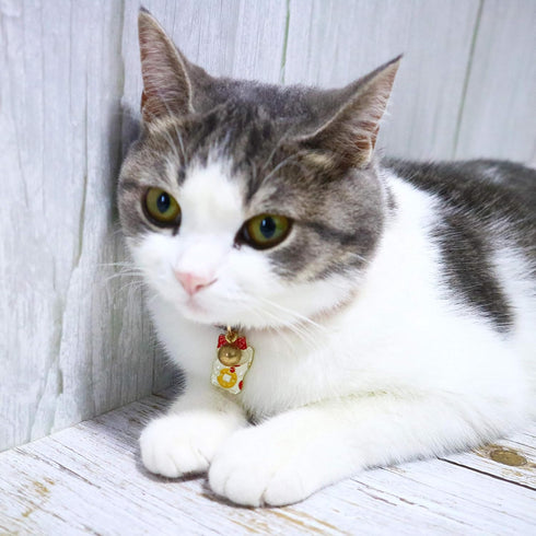Breakaway Cat Collar with Bells & Fortune Cat Charm - Adjustable Chirimen Japanese Collar for Cats and Small Dogs