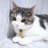 Breakaway Cat Collar with Bells & Fortune Cat Charm - Adjustable Chirimen Japanese Collar for Cats and Small Dogs