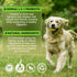 3-in-1 Dog Probiotics for Digestive Support, Liquid Probiotic Supplements for Dogs, Pet Probiotics | 2 Oz