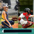 Shin Guard Replacement Straps for Baseball Catchers Gear, Leg Guard Straps