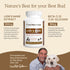 Wellbeing 120 Count Real Mushrooms Lions Mane Pet Mushroom Supplement Pet Capsules for Cat & Dog Supplement & Vitamins