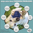 Bella Boo Pets Interactive Dog Toy - Freddy The Hedgehog Blue Treat Ball + Food Dispensing Slow Feeder Puzzle