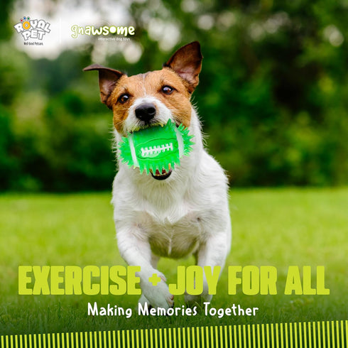 4.5" Gnawsome Spiky Squeak & Light Football for Dogs - Durable, Rubber Bouncy Puppy Fetch & Chew Toy for Your Pet