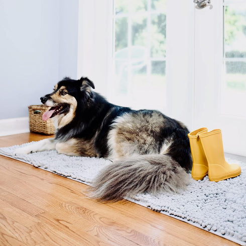 DogBuddy Super Absorbent Dog Door Mat, Waterproof Non-Slip Floor Mats for Pets, XL, Mist