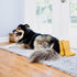 DogBuddy Super Absorbent Dog Door Mat, Waterproof Non-Slip Floor Mats for Pets, XL, Mist