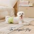 50 1 0 (10.5"-14" WICKEDPUP Male Dog Belly Band Kit, Diaper Pads & Reusable Male Wrap (Size Waist))