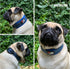 Tuff Pupper Ultra Comfort Padded Dog Collar, Thick Neoprene Padding with Reflective Stitching and Durable Metal Buckle