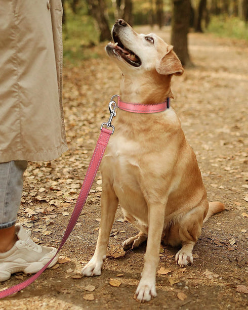 TagME Reflective Nylon Dog Collars, Adjustable Classic Dog Collar with Quick Release Buckle for Extra Small Dogs, 5/8"