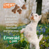 Emerald Pet Little Chewzzies, Salmon, Wheat Free Training Dog Treats, 5 oz - Healthy Natural Chews with Real Meat