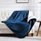 Waterproof Blanket for Bed Couch Sofa, Soft Liquid Pee Proof Pet Blanket for Dog Puppy Cat, Reversible Sherpa Fleece