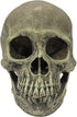 Komodo Realistic Full Human Skull Ornament for Reptile Terrarium or Aquarium Decoration, 4.3"x 7.2"x 4.1"