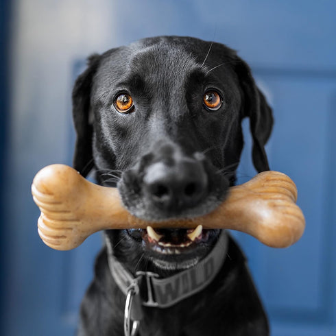 Bulkster Durable Chew Toy for Aggressive Chewers, Large, Real Bacon, Made in USA