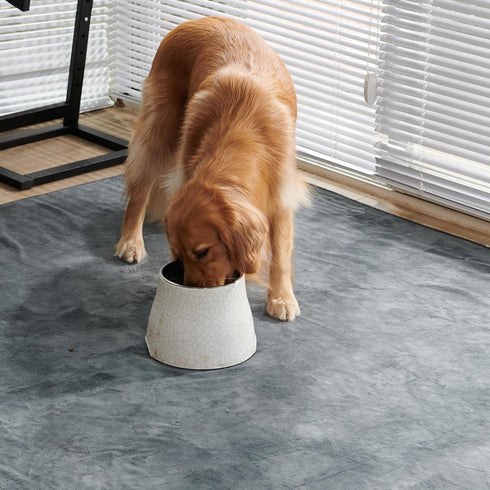 Puppy Pads Washable 2 Pack, 41x41, Non-Slip Dog Training Pads for Whelping, Potty, Playpen, Crate