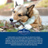 Barkworthies Collagen Sticks 6-Inch 3-Count, Great Tasting, Highly Digestible Dog Chew