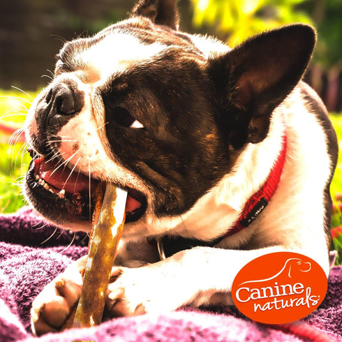 Canine Naturals Peanut Butter Chew, Rawhide Free Dog Treats - All-Natural, Easily Digestible, 10 Pack of 5 Inch Stick